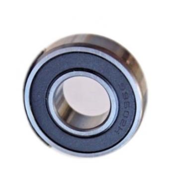 Zys Wholesale Distributor of Spare Parts OEM Bearing Deep Groove Ball Bearing 6304-Zz