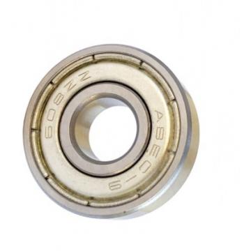 SKF NSK 6007 Deep Groove Ball Bearing for Auto Parts 6000, 6200, 6300 Series