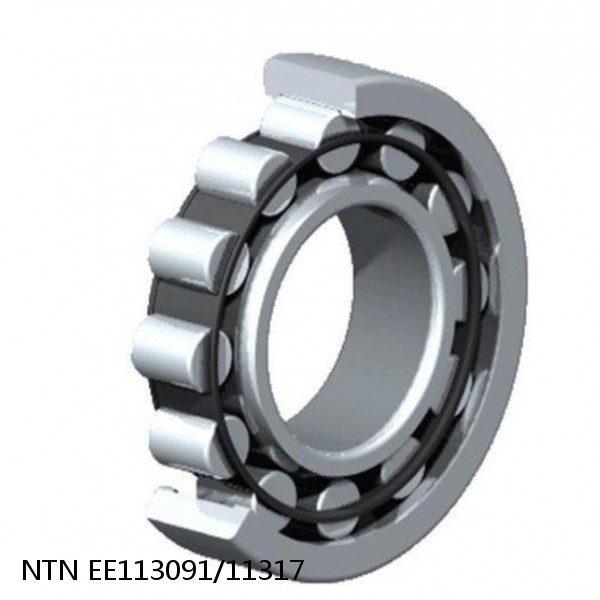 EE113091/11317 NTN Cylindrical Roller Bearing