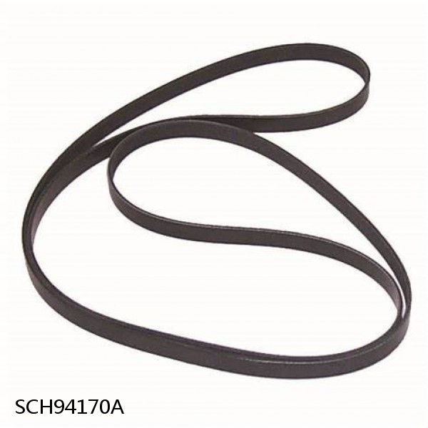 Serpentine Belt, V Belt and Timing Belt Installation Assist Tool SCH94170A New !